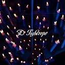 Tightrope(在庫あり。)