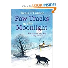 Paw Tracks in the Moonlight