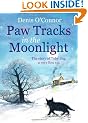Paw Tracks in the Moonlight