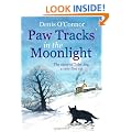 Paw Tracks in the Moonlight