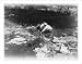 Historic Print (L): [Harvey W. Wiley family, Sioux City, Iowa]: [2 children] playing in creek, old farm