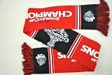 CHICAGO BLACKHAWKS 2010 STANLEY CUP CHAMPIONS NHL Stadium two sided Team logo Scarf