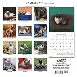 Siamese Cats 2008 Square Wall-