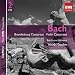 Brandenburg Concerto No. 6 In B Flat Bwv1051 (1989 Digital Remaster): I. [allegro]