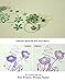 Inkadinkado Sparrow Wood Stamp for Scrapbooking and Card Decorating, 2.25'' W x 2.25'' L