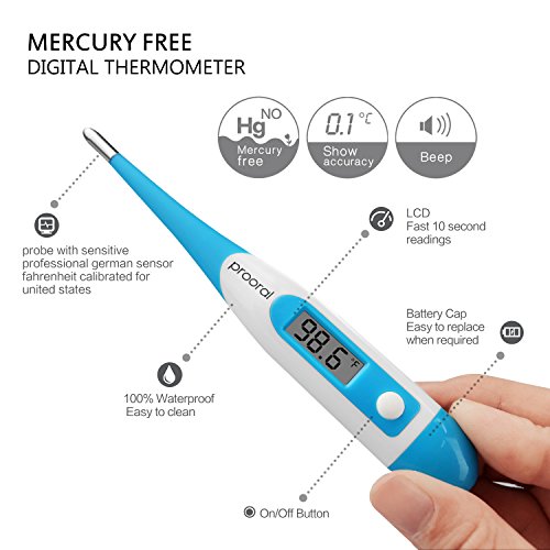 Clinical Professional Digital Thermometer prooral Oral or Axillary