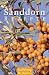 Produkt-Bild: Sanddorn-Rezepte