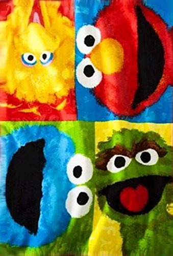 Sesame Street Color Block Buddies Super Plush Throw Blanket