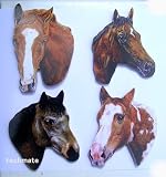 Horse Wooden Fridge Magnet Set - HO-1