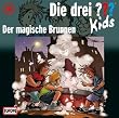 Die drei ??? Kids 16: Der magische Brunnen (drei Fragezeichen)