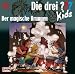 Die drei ??? Kids 16: Der magische Brunnen (drei Fragezeichen)