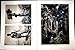 Cameroon Forest Douala Kirdis Tribe French Print 1937
