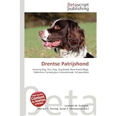 Drentse Patrijshond