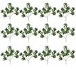 ONE Dozen (12 pieces) of 18" Artificial Pittosporum Sprays 2332 leaves _Variegated