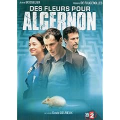Des fleurs pour Algernon
