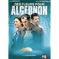Des fleurs pour Algernon