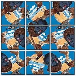B Dazzle Game Birds Scramble Squares 9 Piece Puzzle