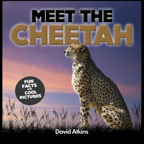 Meet The Cheetah: Fun Facts & Cool Pictures (Meet The Cats)