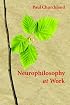 Neurophilosophy at Work