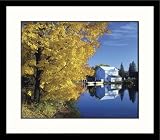 Great American Picture IS826214 Golden Male Framed Photograph - Ken Dequaine