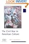 The Civil War in American Culture (Baas Paperbacks)