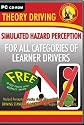 Simulated Hazard Perception (Theory Driving Made Simple)