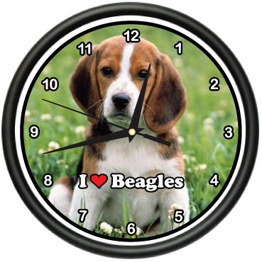 BEAGLE ~Wall Clock~ dog pet dogs puppy breeder gift