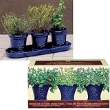 French Country Herb Trio