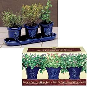 French Country Indoor Herb Garden