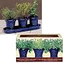French Country Indoor Herb Garden Trio Gift Set