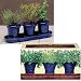 French Country Herb Trio