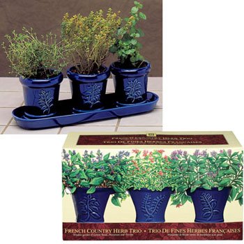Childrens Toyshop  Outdoor Living : French Country Herb Trio