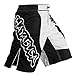Hayabusa Chikara Fight Shorts