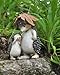 Top Collection Enchanted Story Fairy Garden Hedgehog with Baby Outdoor Statue