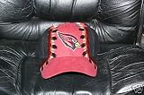 NFL Arizona Cardinals NFC Championship Hat
