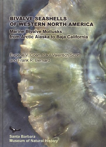 Bivalve Seashells of Western North America