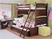 Teen Bungalow Merlot Bunk Bed (Twin Over Full) by Young America By Stanley