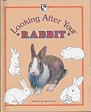 Looking after your rabbit