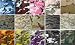 Camouflage Military Bandannas by the Dozen (12 units per pack, 100% cotton)