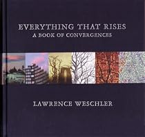 Everything That Rises: A Book of Convergences (Mcsweeneys)