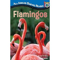 Flamingos (All Aboard Science Reader - Level 2)