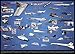 EuroGraphics American Aviation X Planes 1000 Piece Puzzle