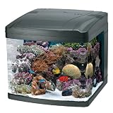 Oceanic 82052 BioCube Aquarium, 29 Gallon 51WdbuKv1cL. SL160 Oceanic 82052 BioCube Aquarium, 29 Gallon