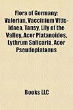 Flora of Germany: Valerian, Vaccinium Vitis-Idaea, Tansy, Lily of the Valley, Acer Platanoides, Lythrum Salicaria, Acer Pseudoplatanus-