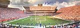 Steve Spurrier Autographed Florida Gators SWAMP 13.5x39 Panoramic Photo