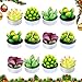 Swpeet 12Pcs Decorative Succulent Cactus Tealight Candles Kit, Cute Smokeless Succulent Plants Perfect for Candles Festival Wedding Props and House-Warming Party (N0.4-Candle)