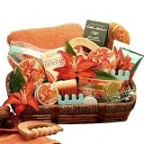 Healing Luxuries Bath and Body Spa Gift Basket for Her -Mothers Day Gift Idea for Women