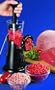 Starfrit Manual Meat Grinder