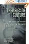 Theories of Culture: A New Agenda for Theology (Guides to Theological Inquiry)