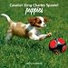 Kitchen & Housewares : Cavalier King Charles Spaniel Puppies 2009 Calendar